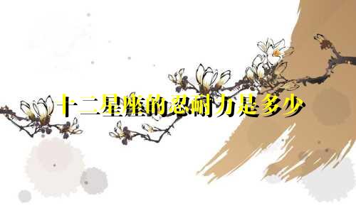 十二星座的忍耐力是多少