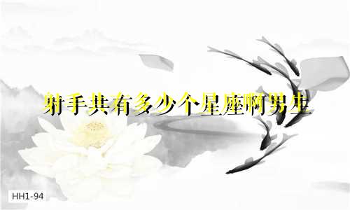 射手共有多少个星座啊男生