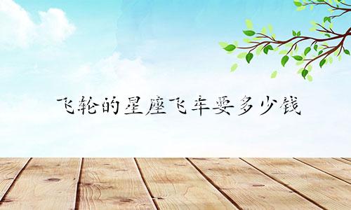 飞轮的星座飞车要多少钱