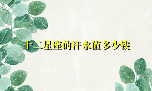 十二星座的汗水值多少钱