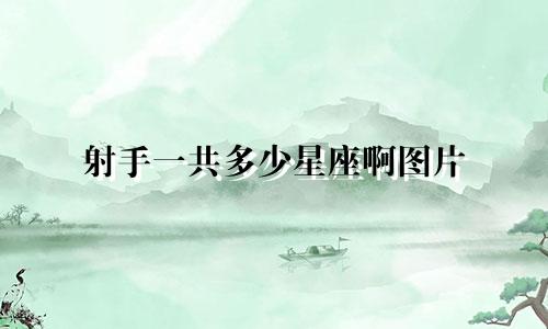 射手一共多少星座啊图片