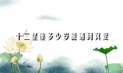 十二星座多少岁能遇到真爱