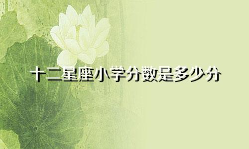 十二星座小学分数是多少分