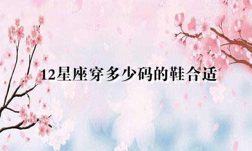 12星座穿多少码的鞋合适