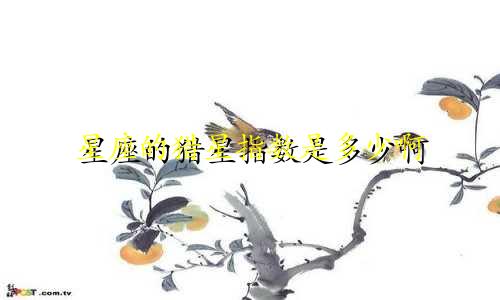 星座的猎星指数是多少啊