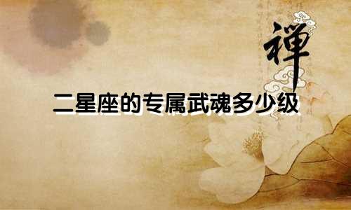 二星座的专属武魂多少级