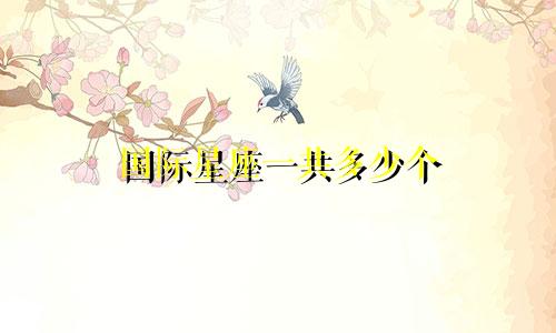国际星座一共多少个