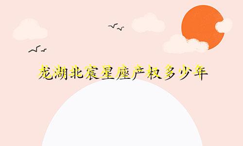 龙湖北宸星座产权多少年