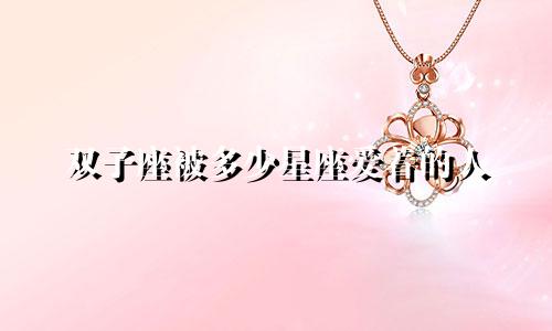 双子座被多少星座爱着的人