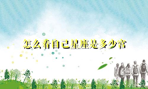 怎么看自己星座是多少宫