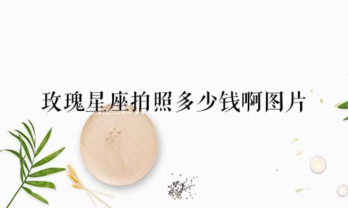 玫瑰星座拍照多少钱啊图片