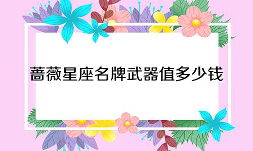 蔷薇星座名牌武器值多少钱