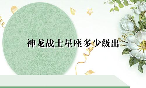 神龙战士星座多少级出