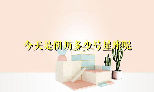 今天是阴历多少号星座呢