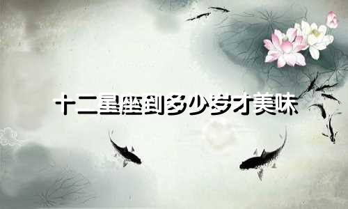 十二星座到多少岁才美味