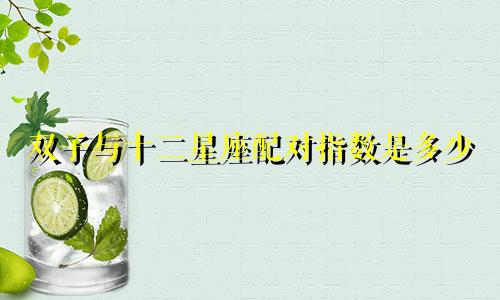 双子与十二星座配对指数是多少