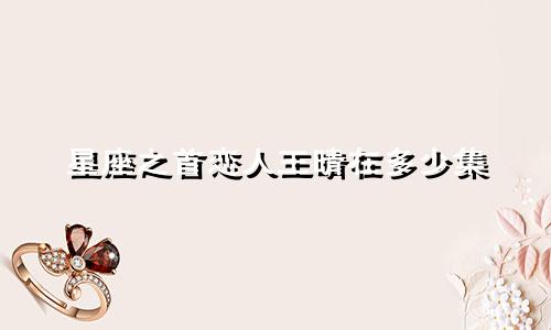 星座之首恋人王晴在多少集