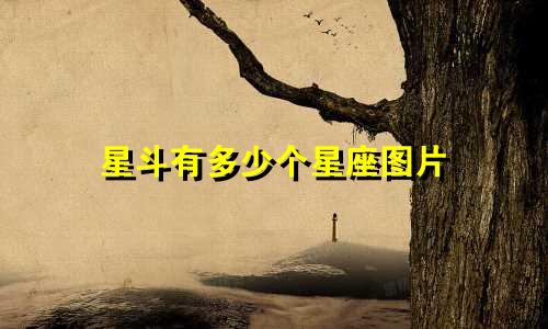 星斗有多少个星座图片