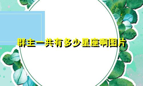 群主一共有多少星座啊图片