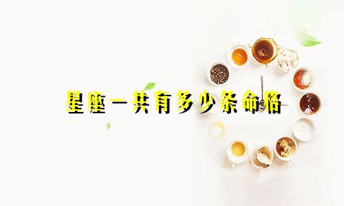 星座一共有多少条命格