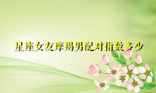 星座女友摩羯男配对指数多少
