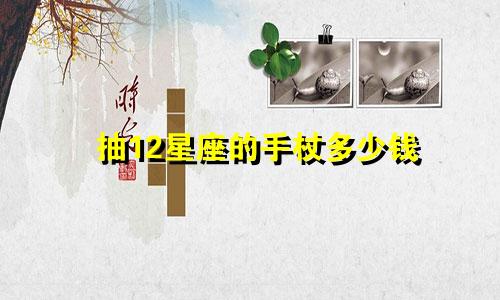 抽12星座的手杖多少钱