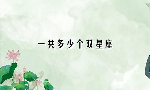 一共多少个双星座