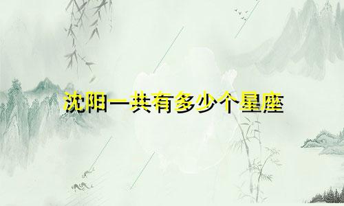 沈阳一共有多少个星座