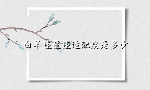 白羊座星座适配度是多少