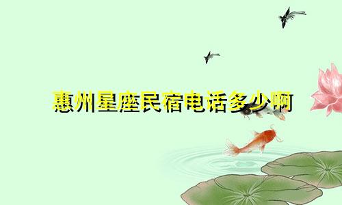 惠州星座民宿电话多少啊