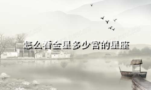 怎么看金星多少宫的星座