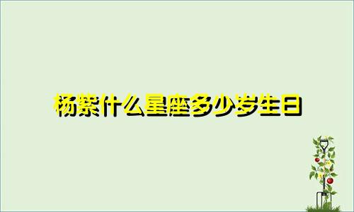 杨紫什么星座多少岁生日