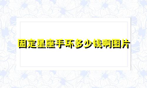 固定星座手环多少钱啊图片