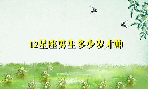12星座男生多少岁才帅