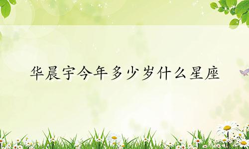华晨宇今年多少岁什么星座