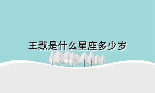 王默是什么星座多少岁