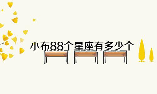 小布88个星座有多少个