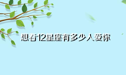 想看12星座有多少人爱你