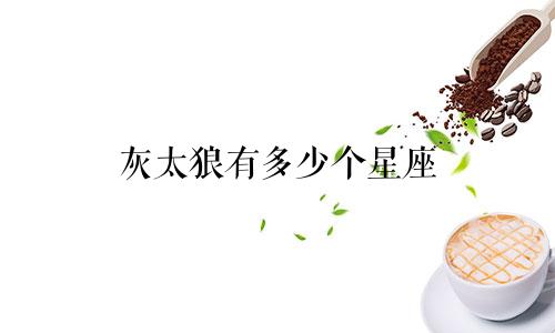 灰太狼有多少个星座