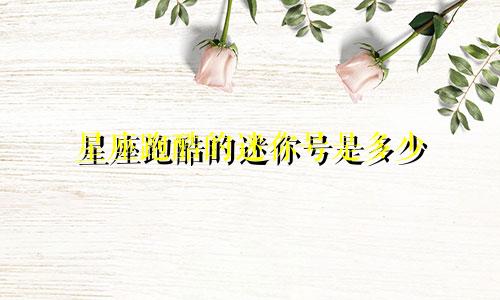 星座跑酷的迷你号是多少