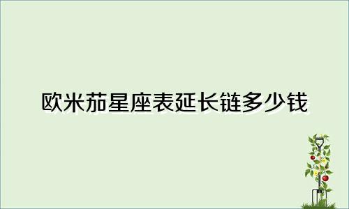 欧米茄星座表延长链多少钱
