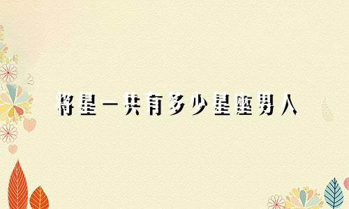 将星一共有多少星座男人
