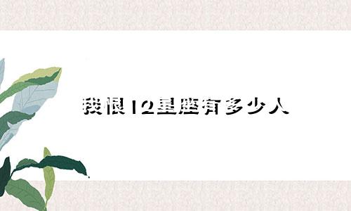 我恨12星座有多少人