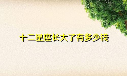 十二星座长大了有多少钱