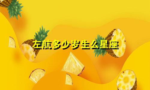 左航多少岁生么星座