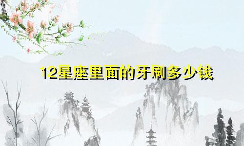 12星座里面的牙刷多少钱