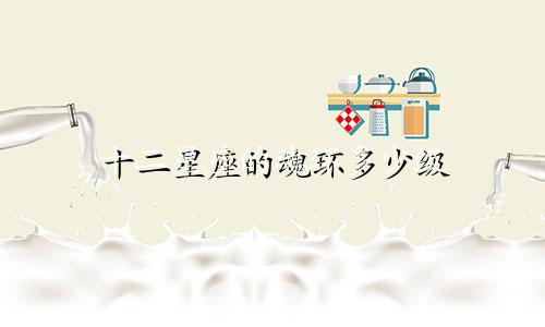 十二星座的魂环多少级