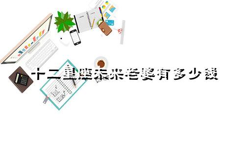 十二星座未来老婆有多少钱