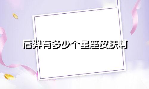 后羿有多少个星座皮肤啊