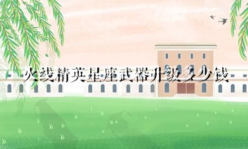 火线精英星座武器升级多少钱